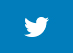 Twitter icon